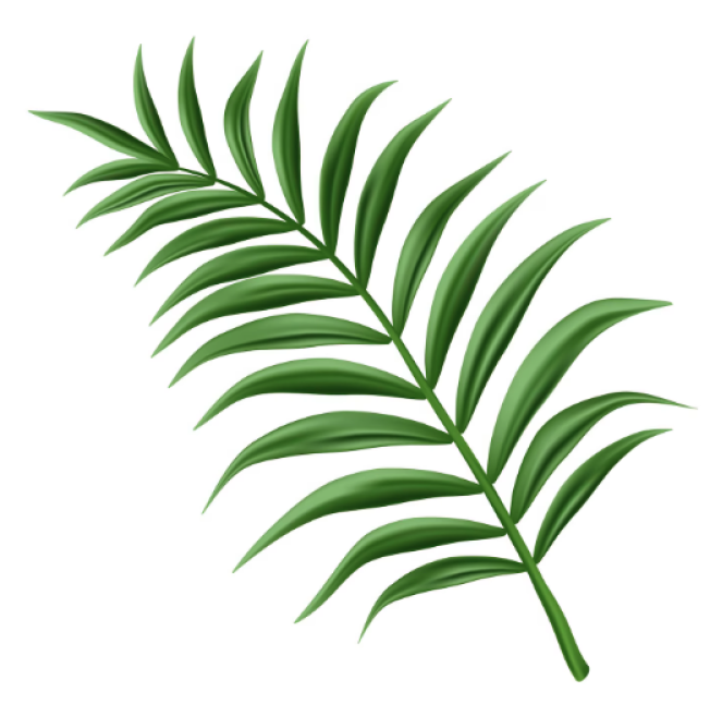 leaf