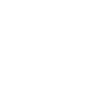 solo_icon